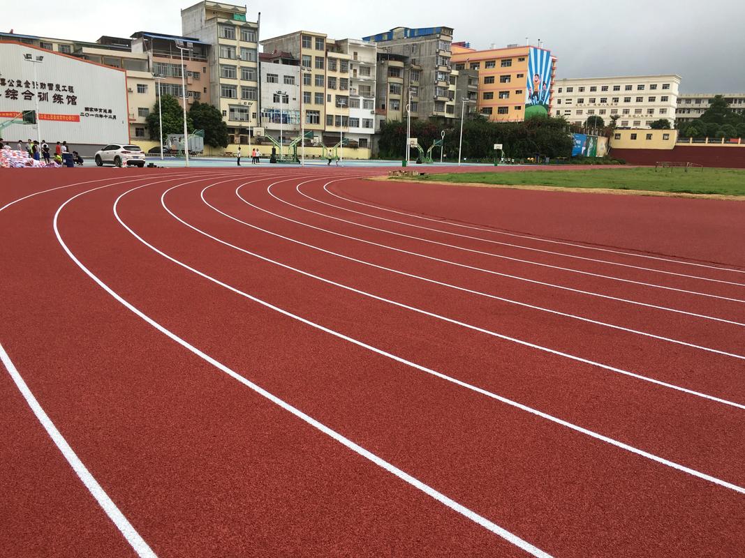 齐齐哈尔市EPDM颗粒塑胶跑道材料 - 价格